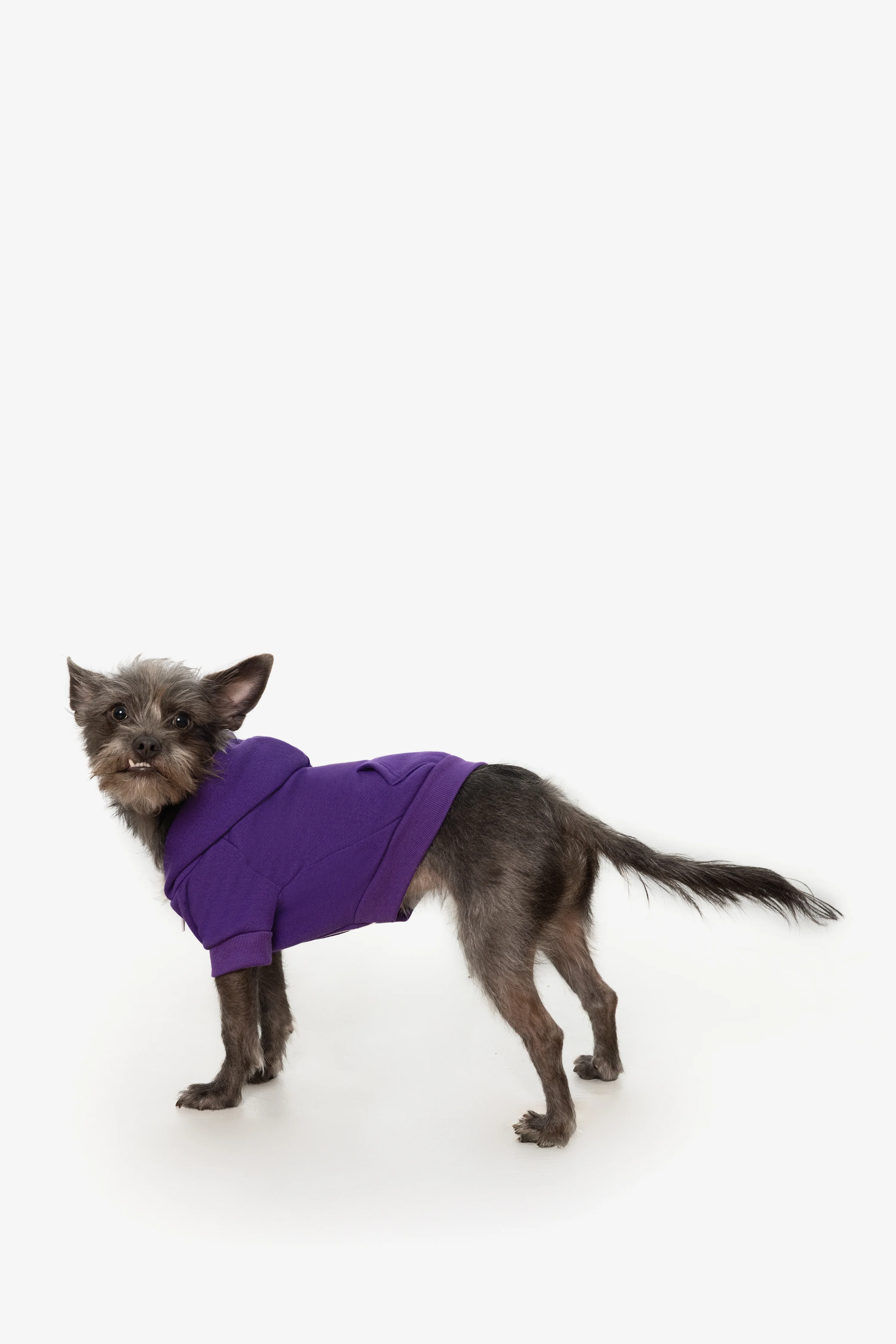 FF997 - Flex Fleece Dog Zip Hoodie - Image 41