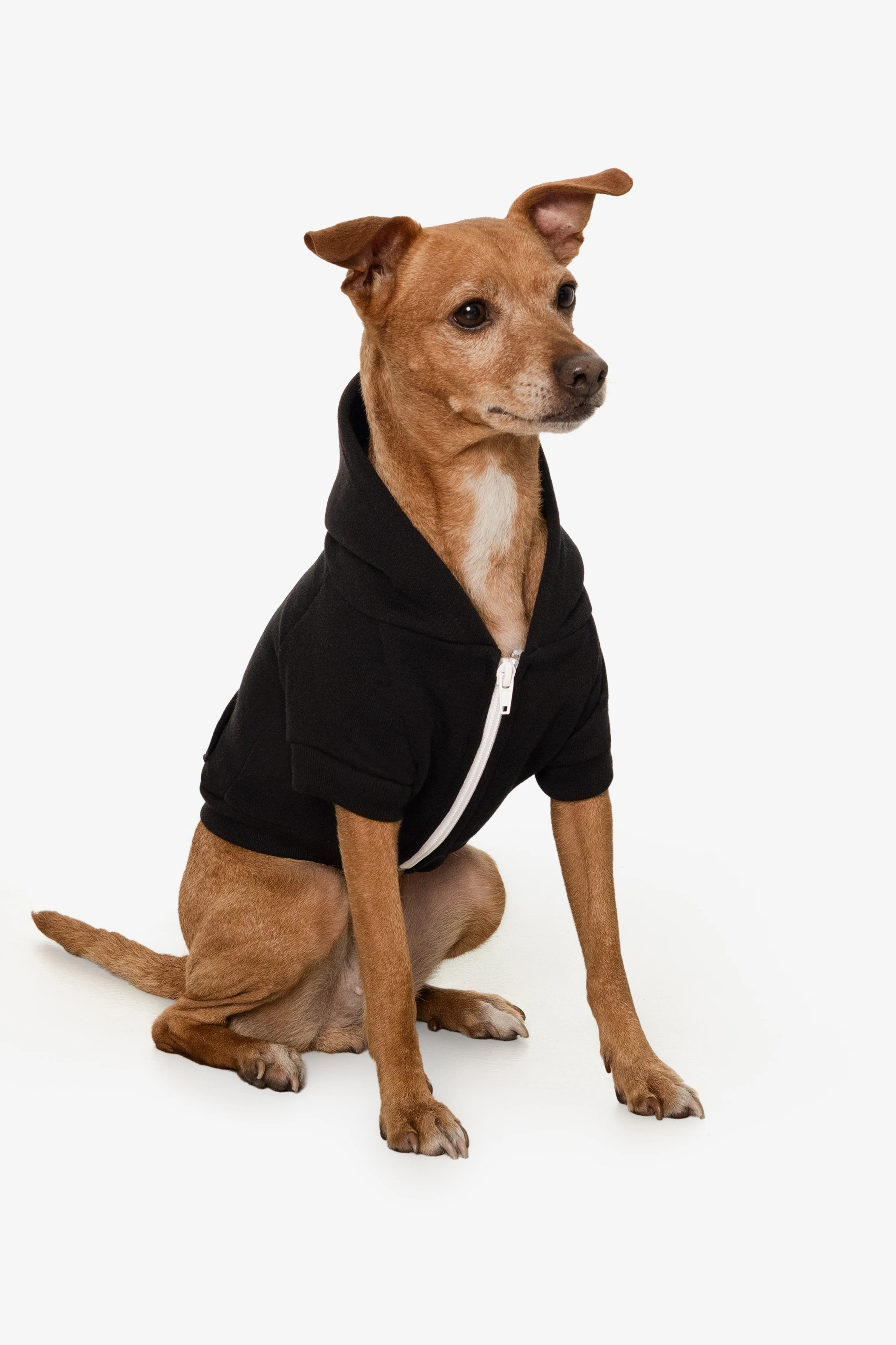 FF997 - Flex Fleece Dog Zip Hoodie - Image 6