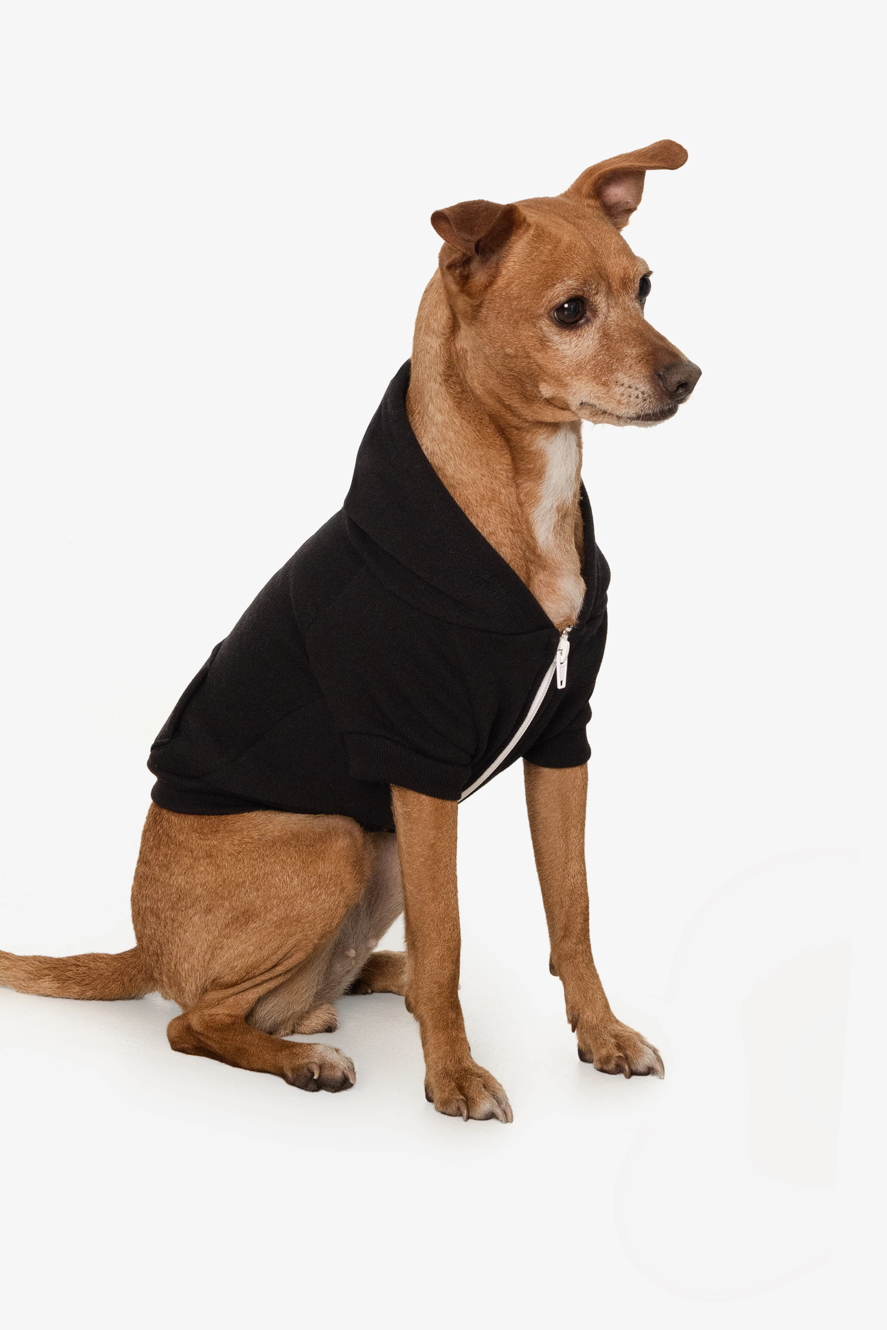 FF997 - Flex Fleece Dog Zip Hoodie - Image 7