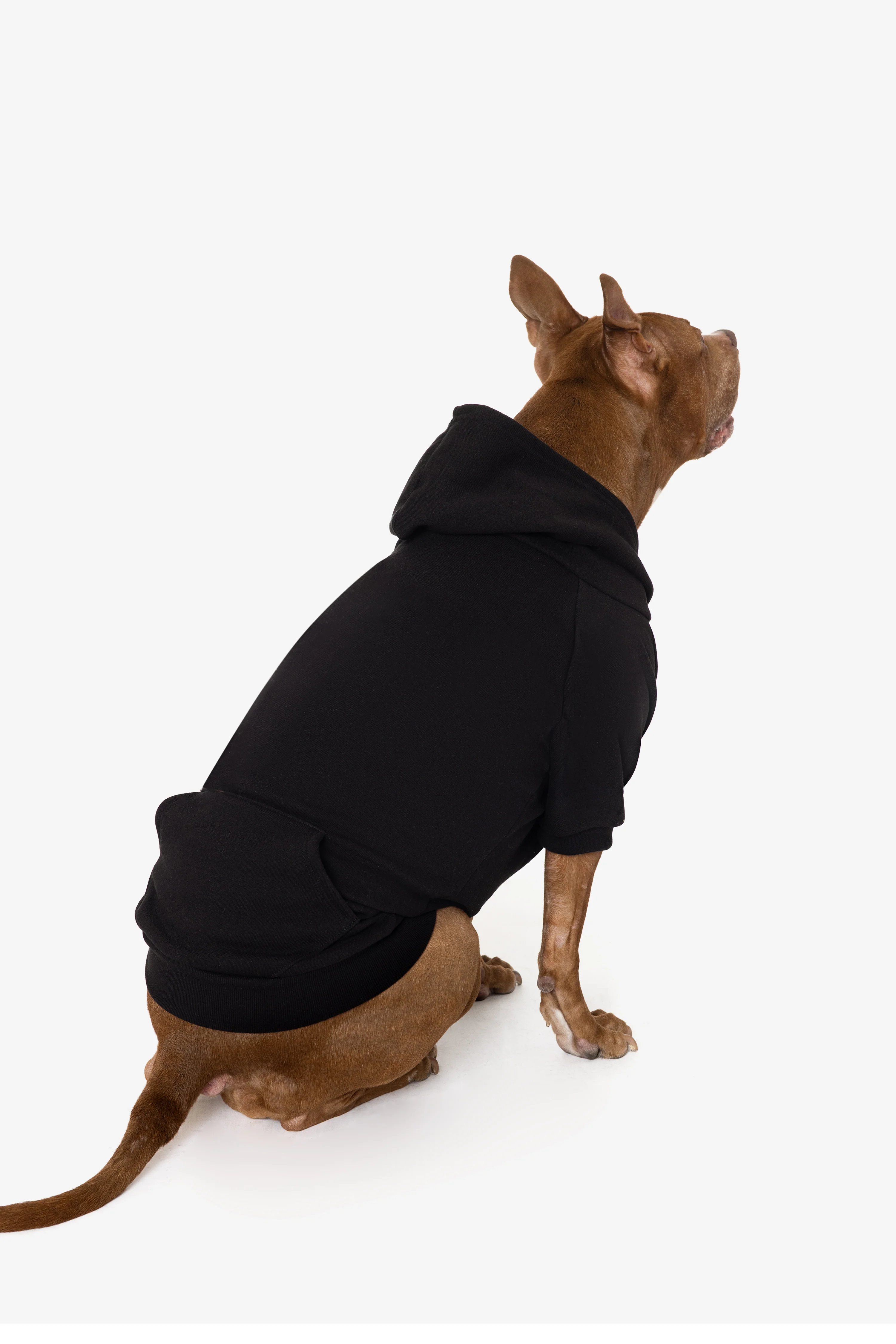 FF997 - Flex Fleece Dog Zip Hoodie - Image 8