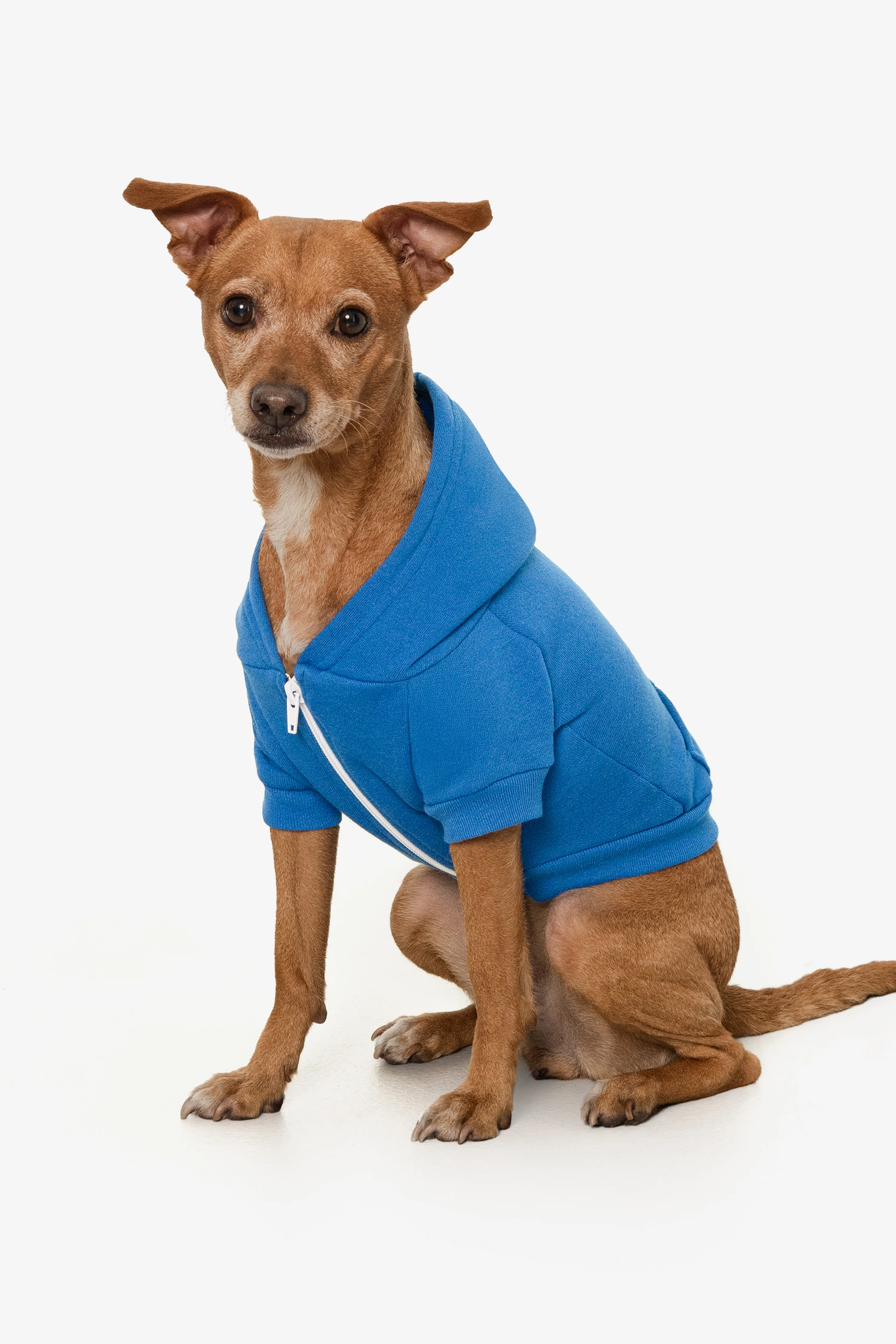 FF997 - Flex Fleece Dog Zip Hoodie - Image 9