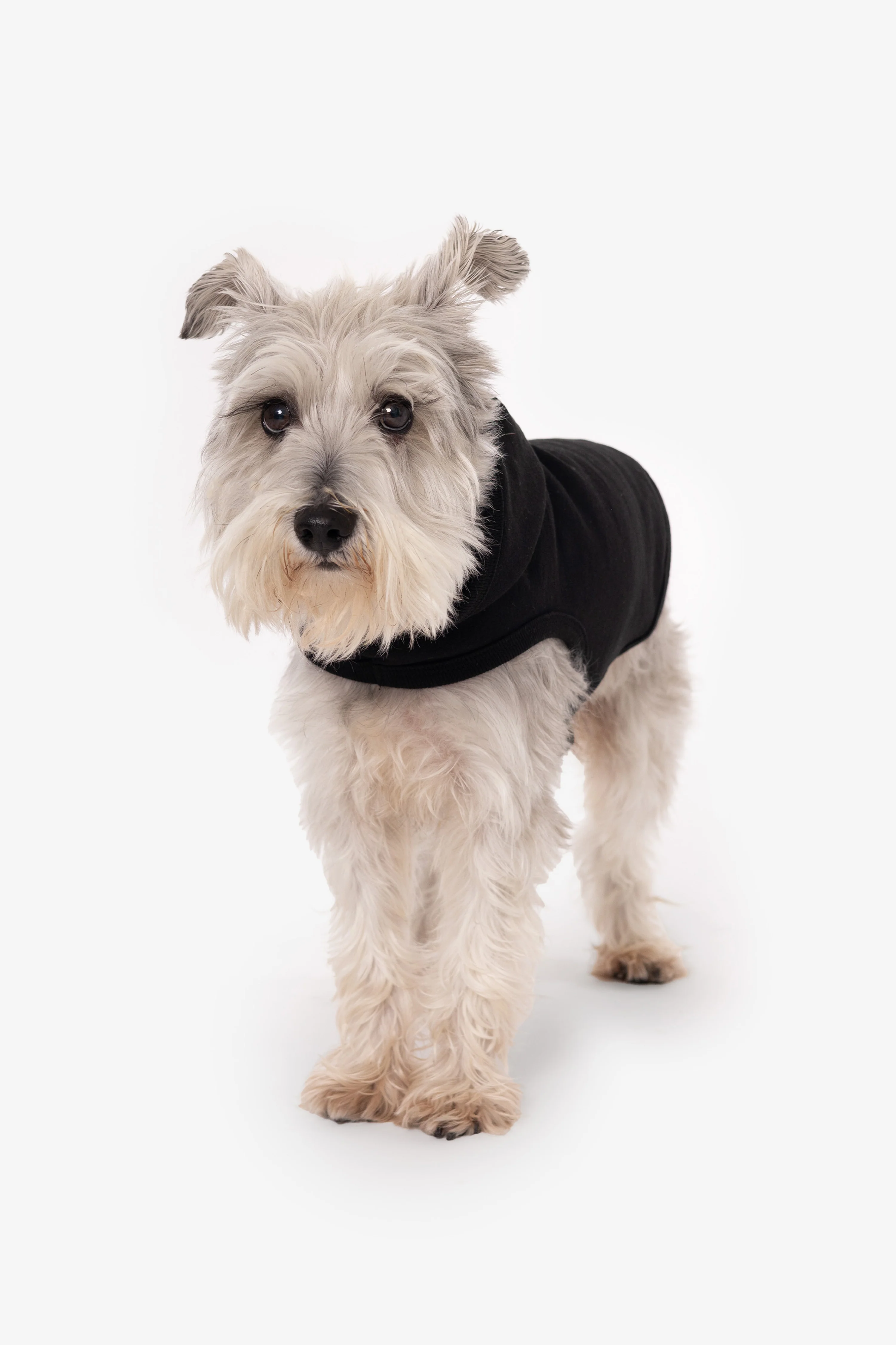 HF-DOGHOOD - Heavy Fleece Dog Sweater - Image 10