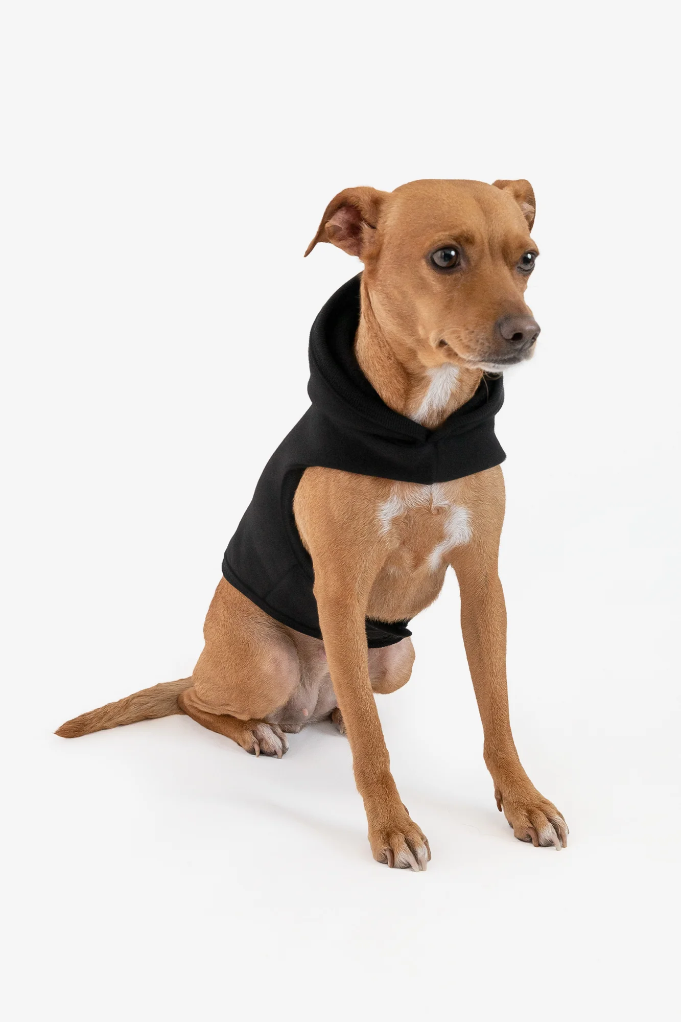 HF-DOGHOOD - Heavy Fleece Dog Sweater - Image 3
