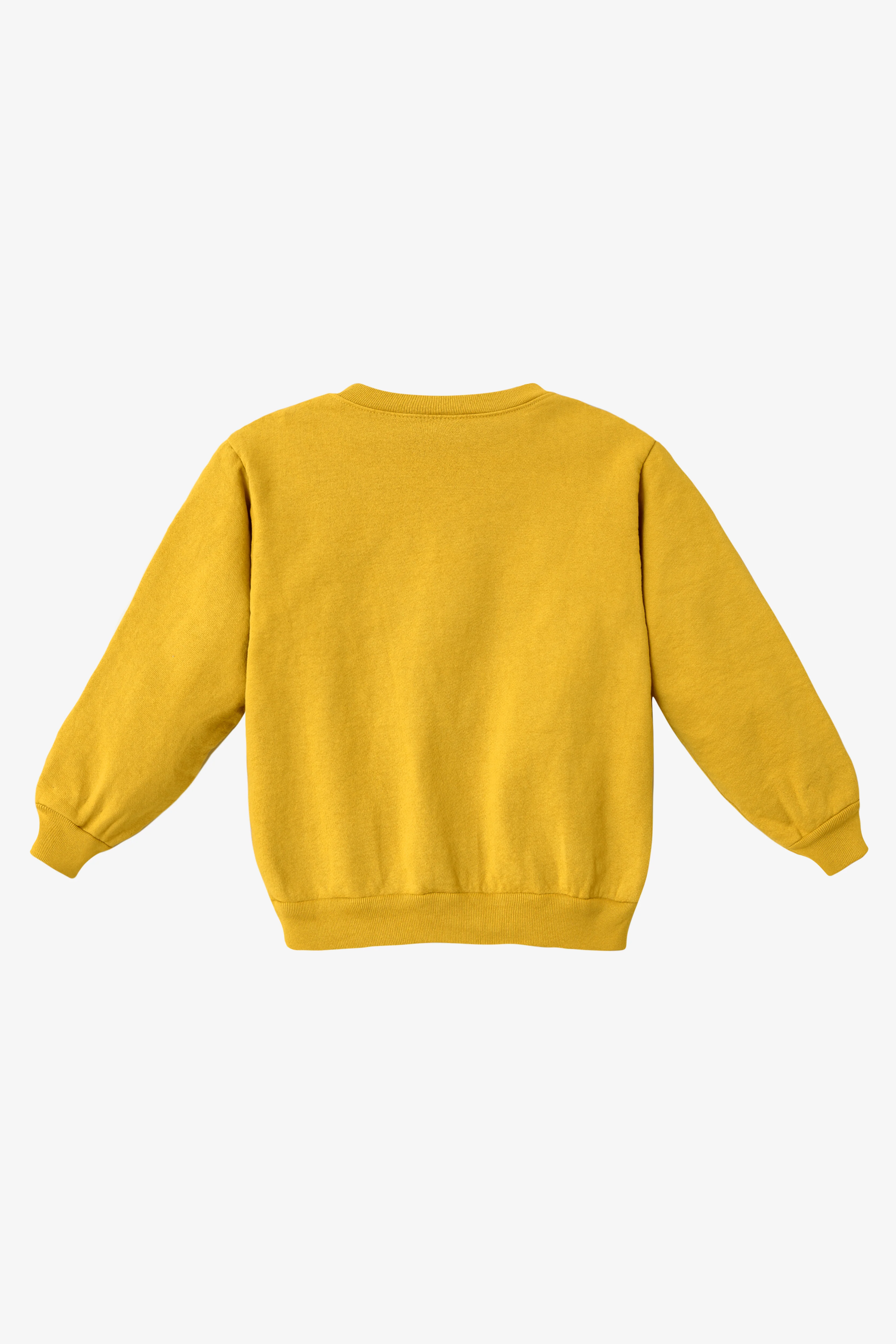 HF107GD - Kids Heavy Fleece Garment Dye Crew Sweatshirt - Image 32