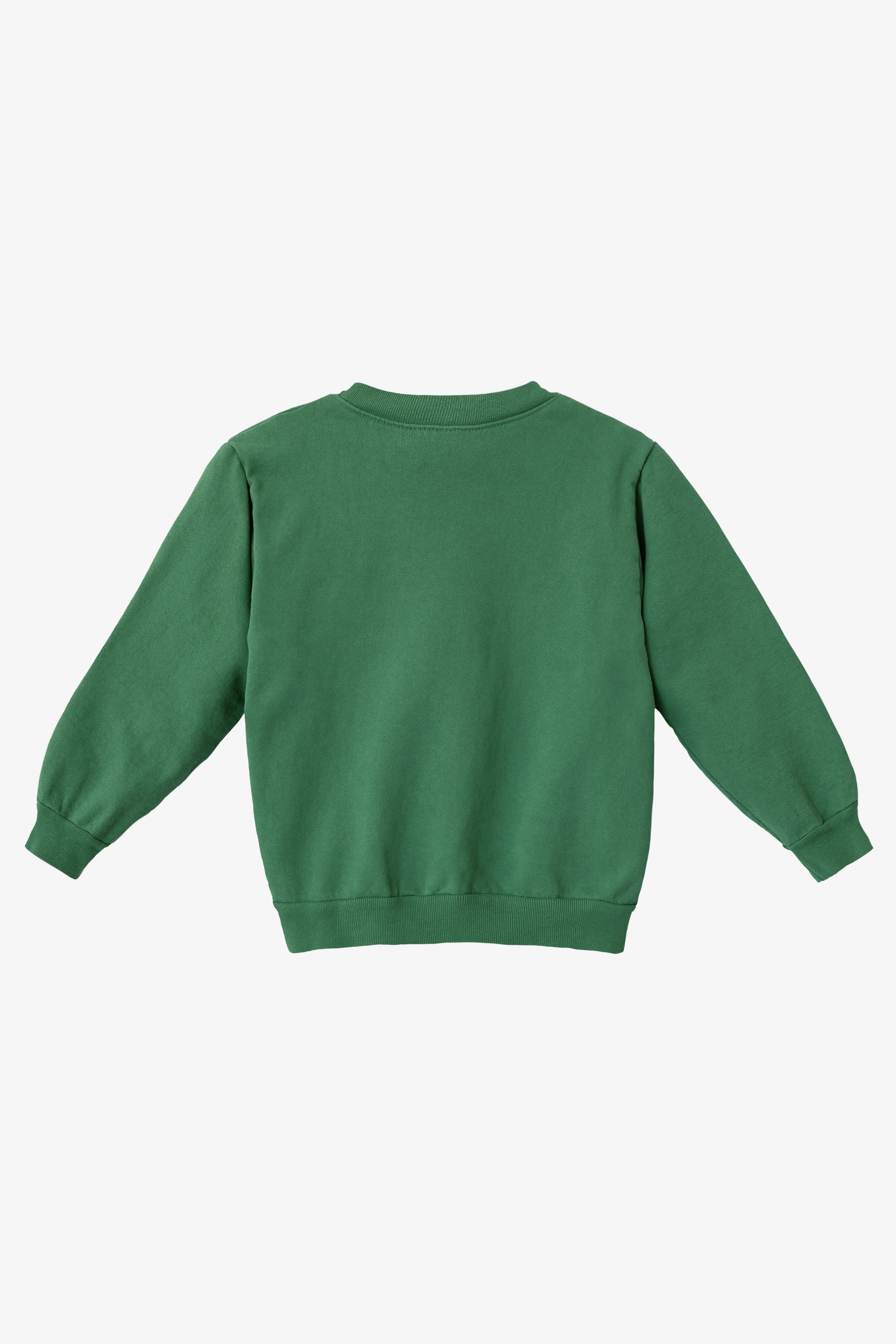 HF107GD - Kids Heavy Fleece Garment Dye Crew Sweatshirt - Image 38