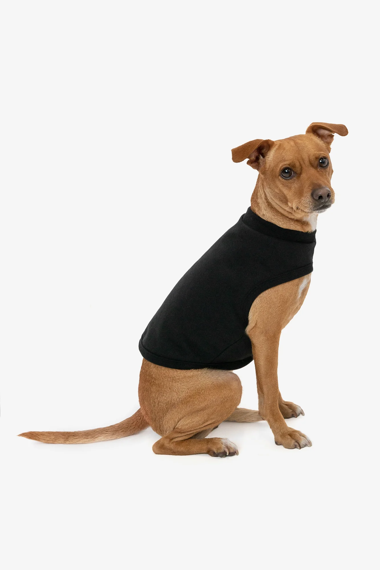 HFDOGVEST - Heavy Fleece Dog Vest - Image 18