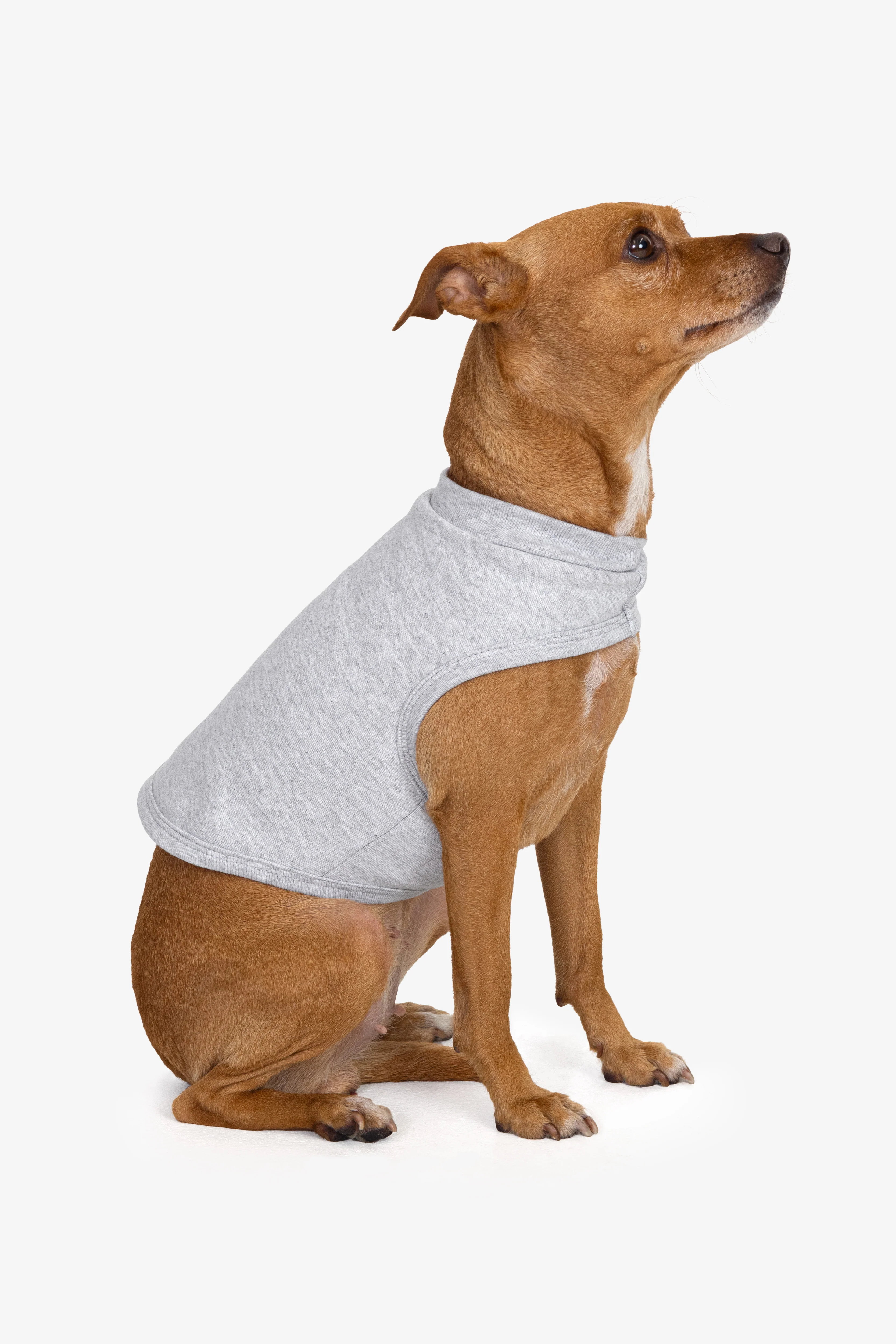 HFDOGVEST - Heavy Fleece Dog Vest - Image 3