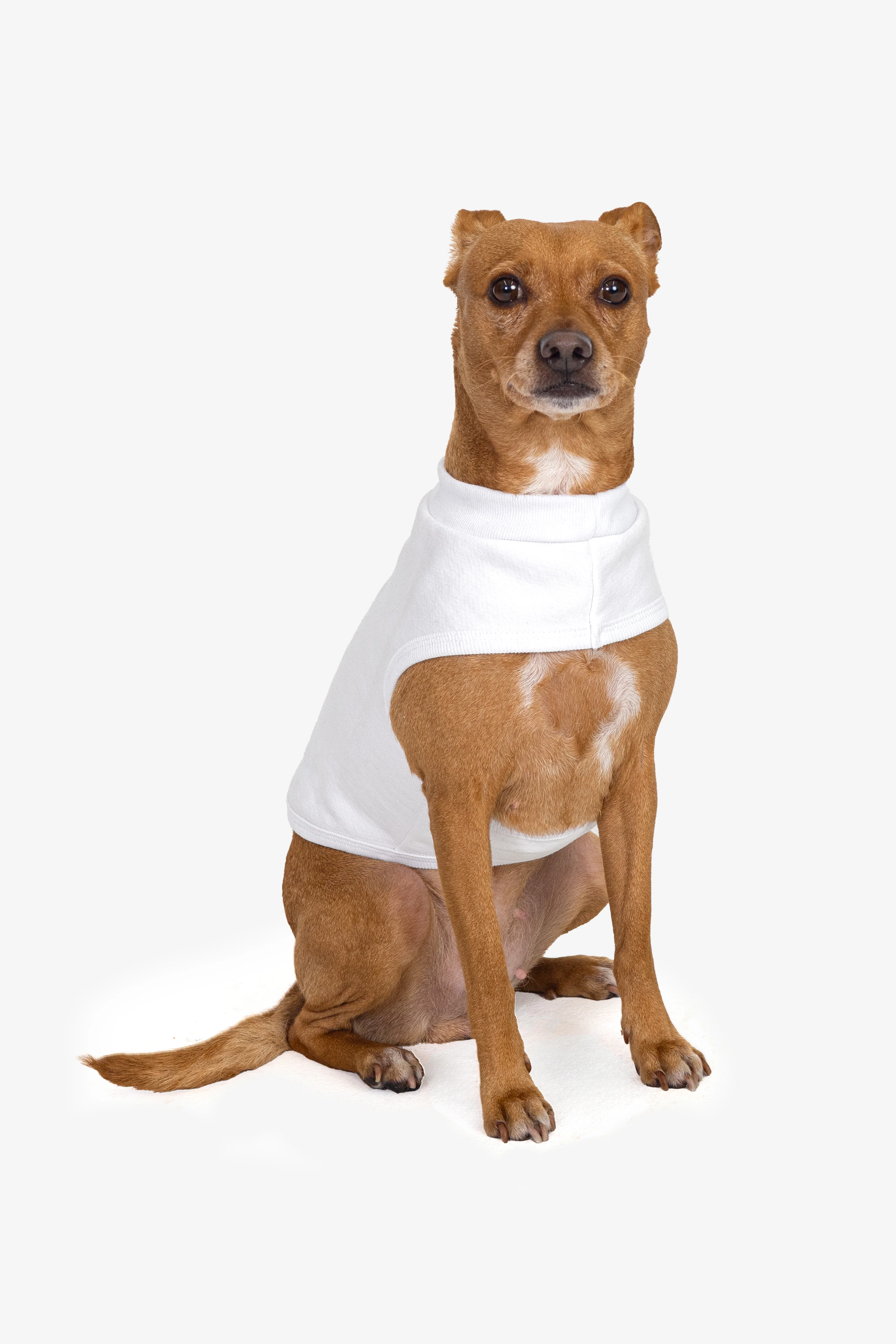 HFDOGVEST - Heavy Fleece Dog Vest - Image 5
