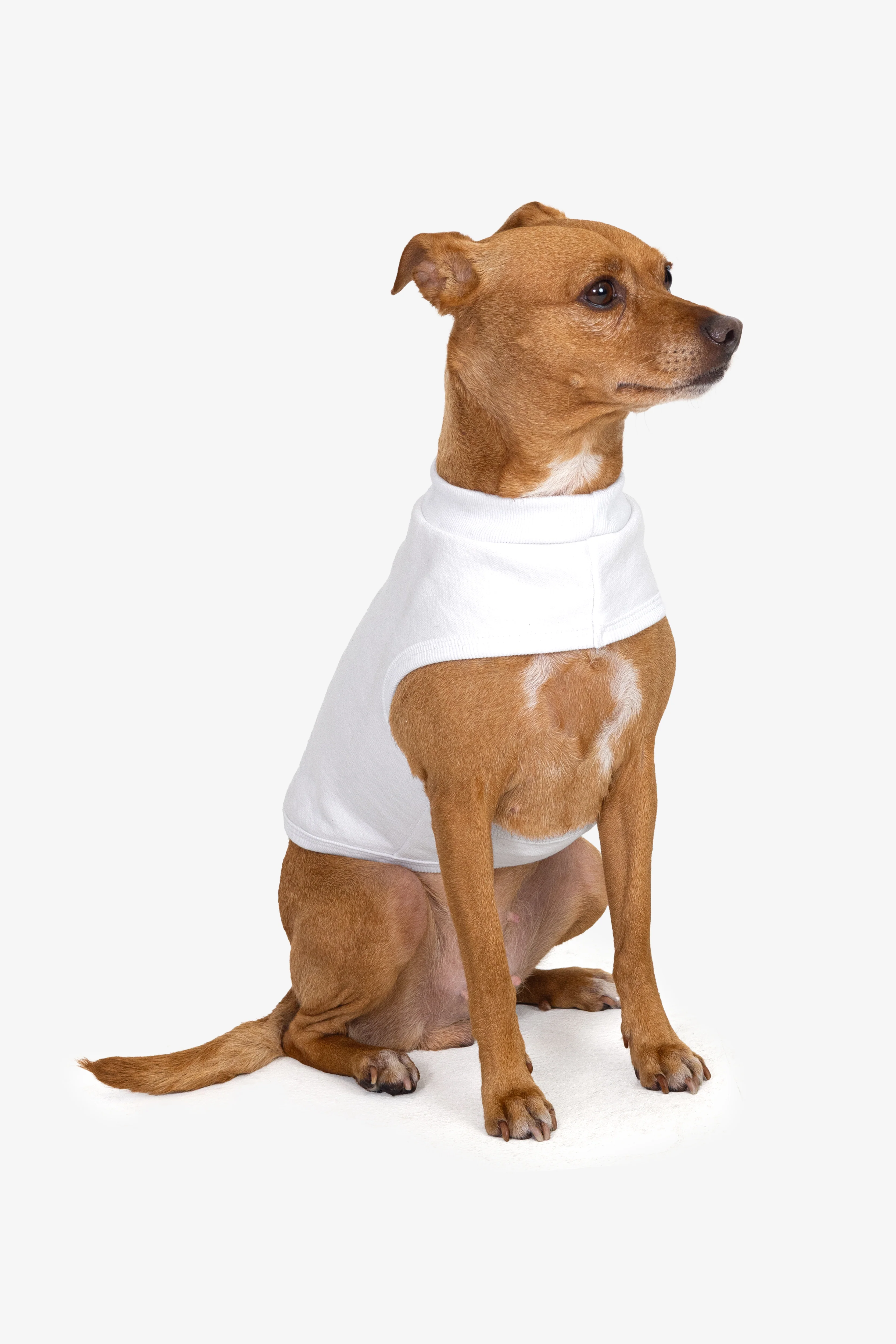 HFDOGVEST - Heavy Fleece Dog Vest - Image 6