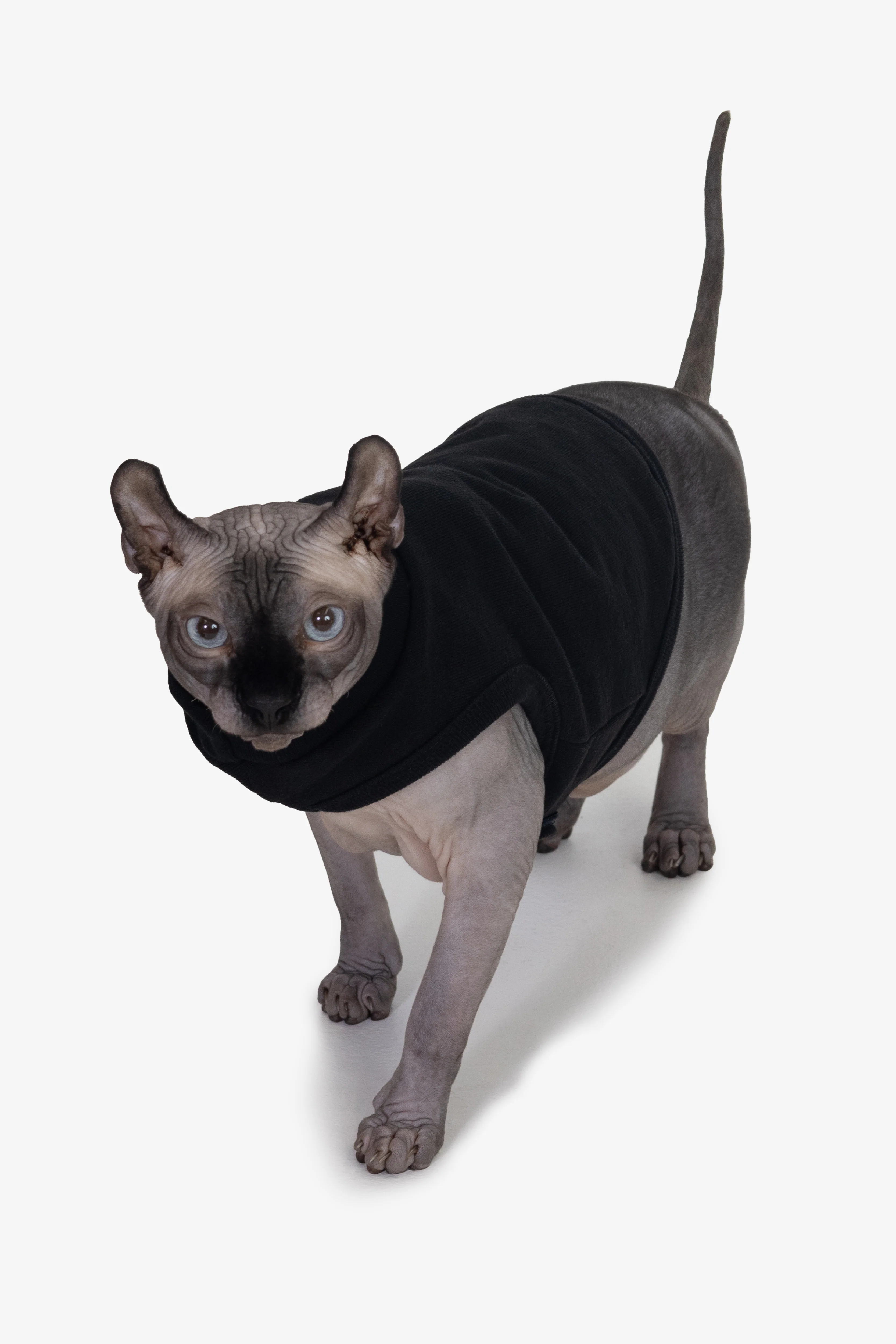 HFDOGVEST - Heavy Fleece Dog Vest - Image 8