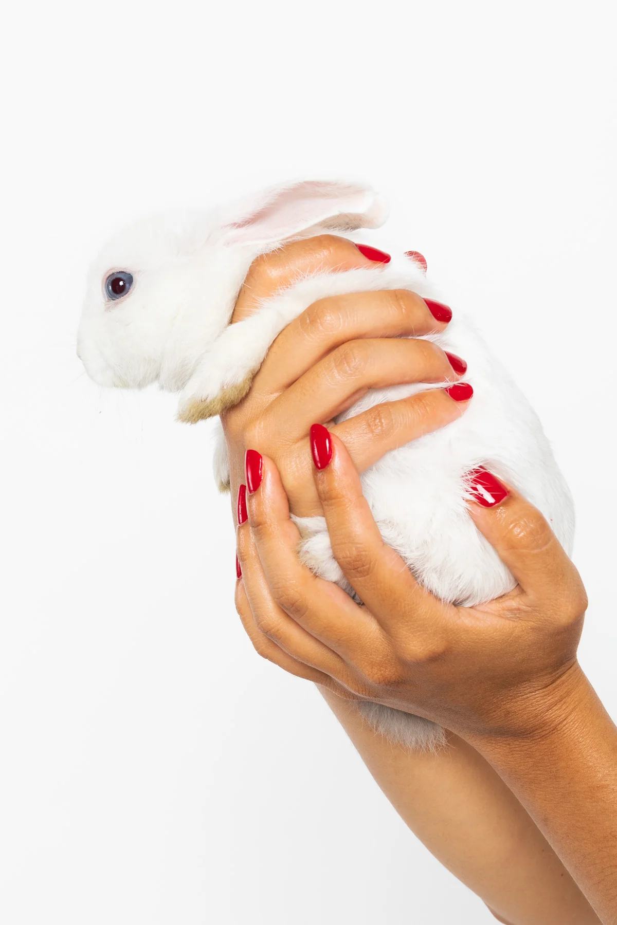 NAILPOLISH - Nail Polish - Image 43