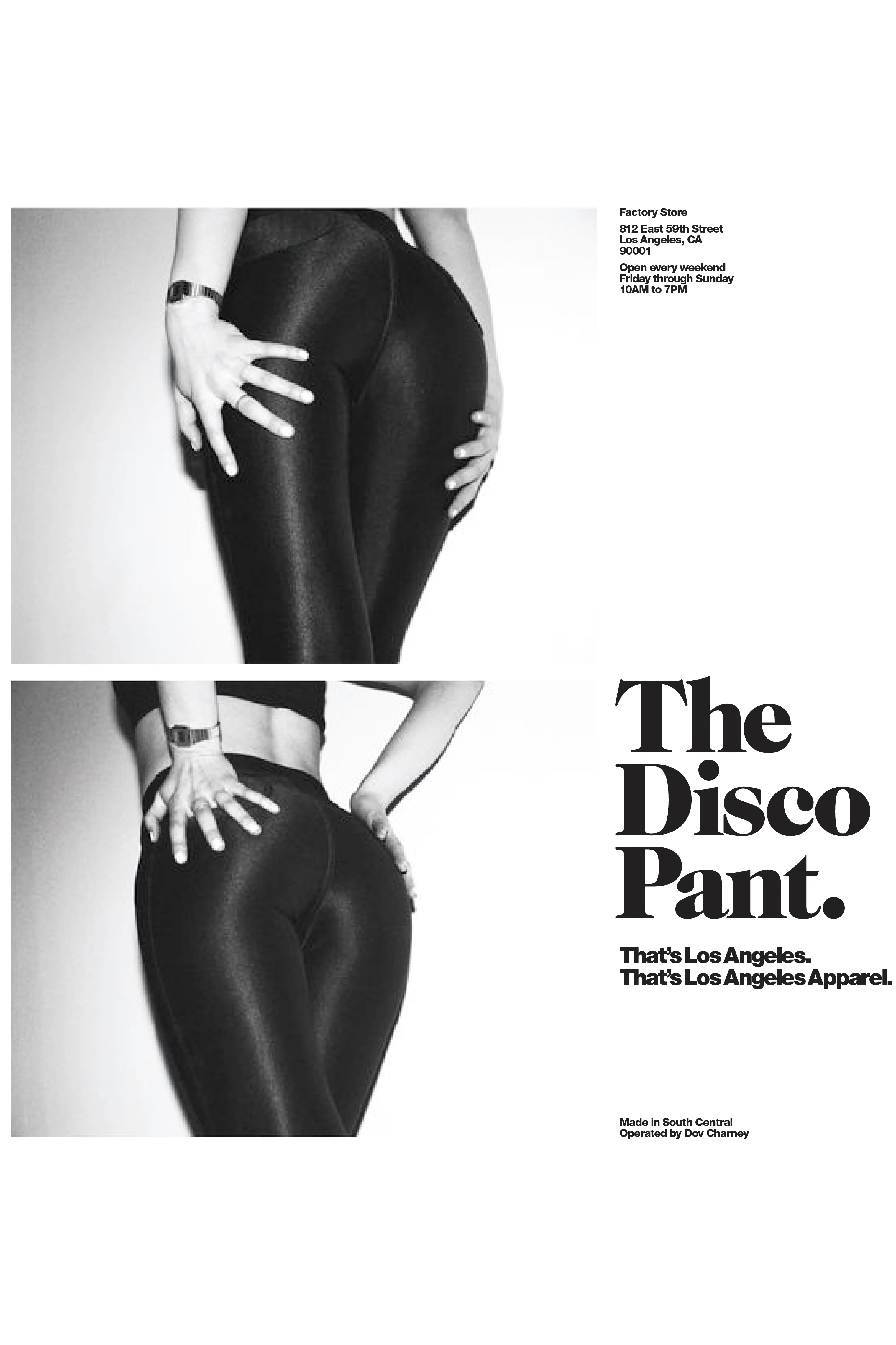 RSAAH300 - The Disco Pant - Image 15