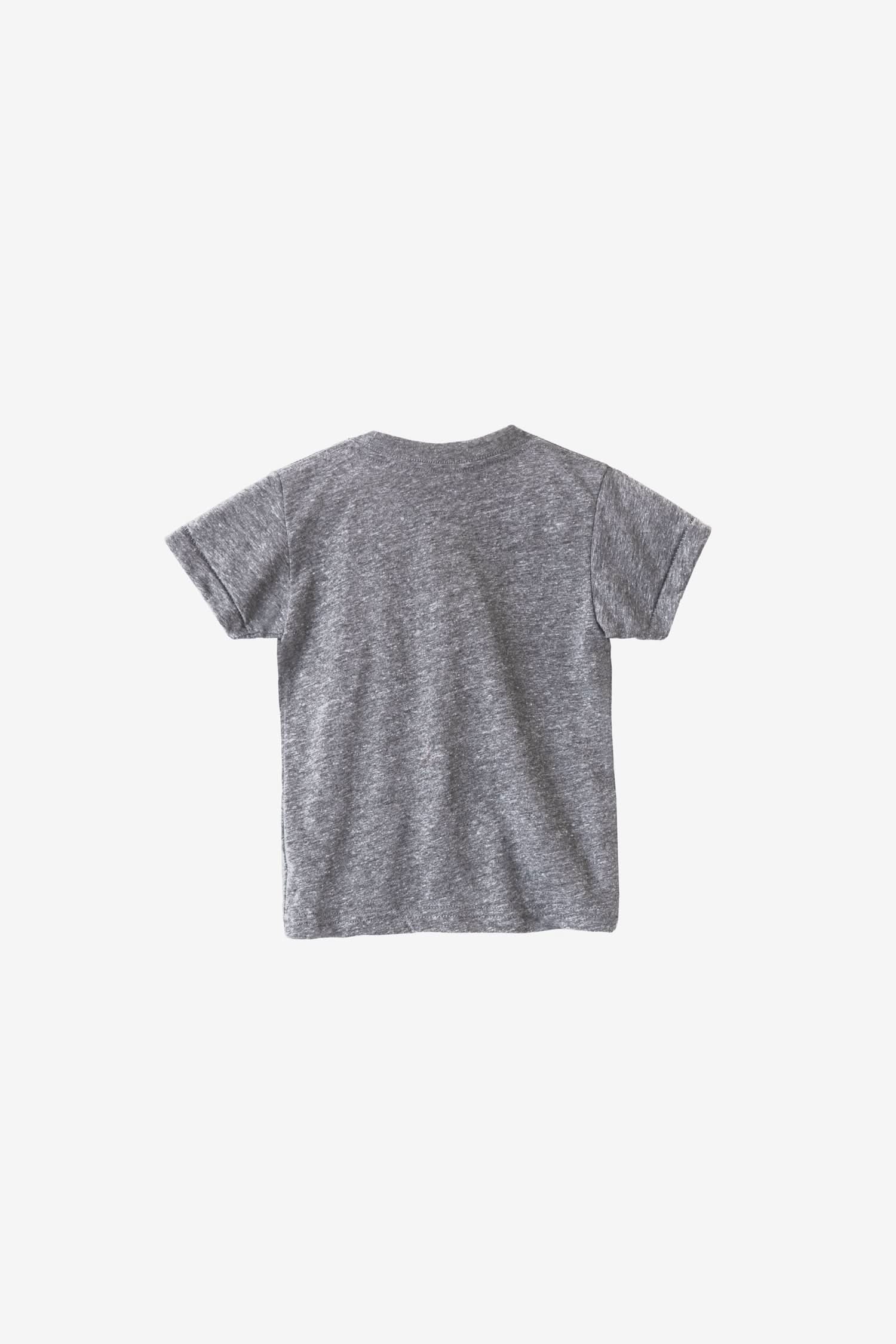TR1001 - Toddler Tri-Blend Crew Neck T-Shirt - Image 13