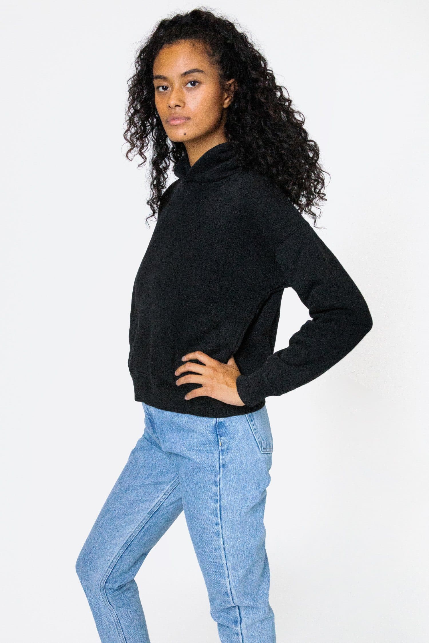 WF369GD - Puffy Heavyweight Fleece Cropped Hoodie - Image 6